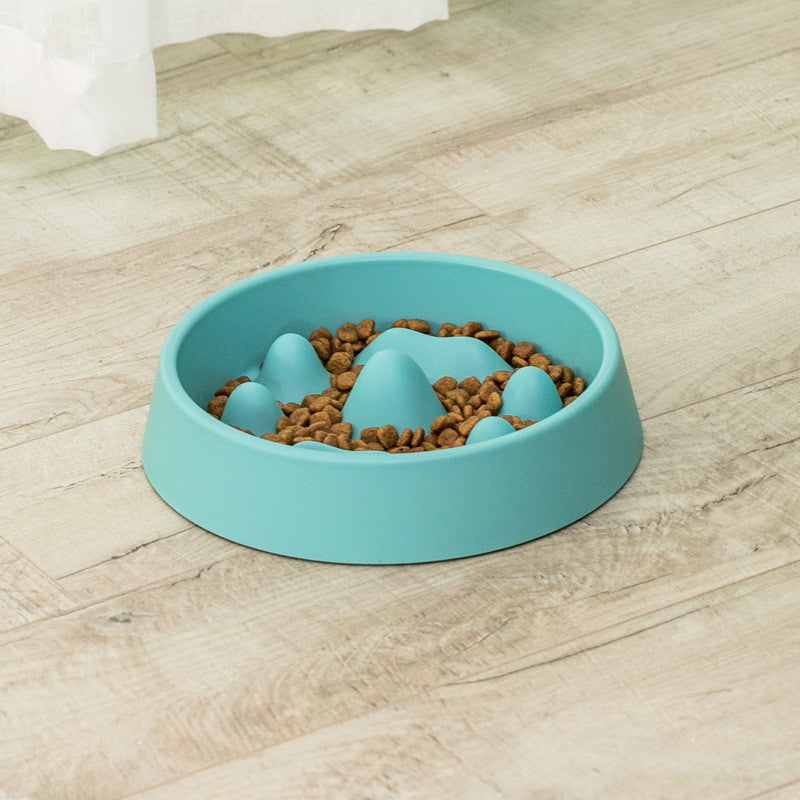 Pet Slow Feeding Bowl