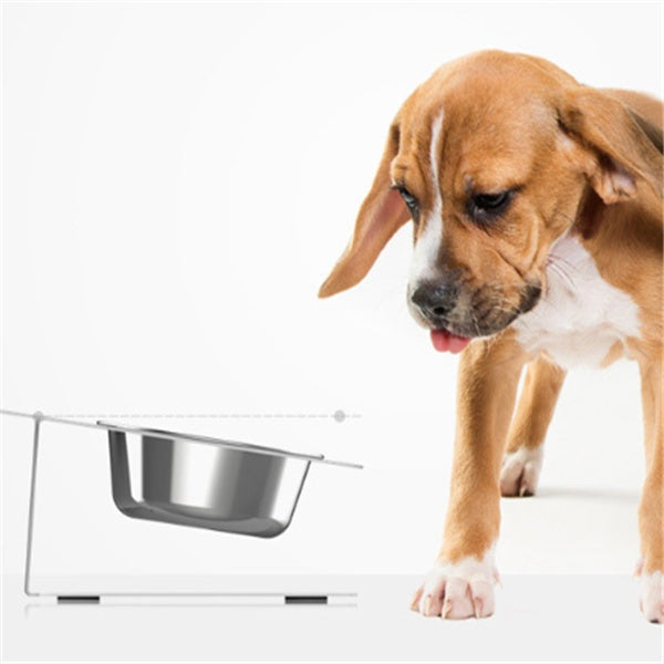 Anti-Falling Tilted Pet Feeding & Water Bowl