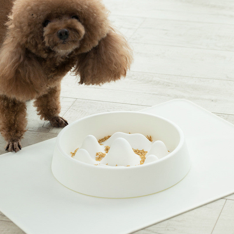Pet Slow Feeding Bowl