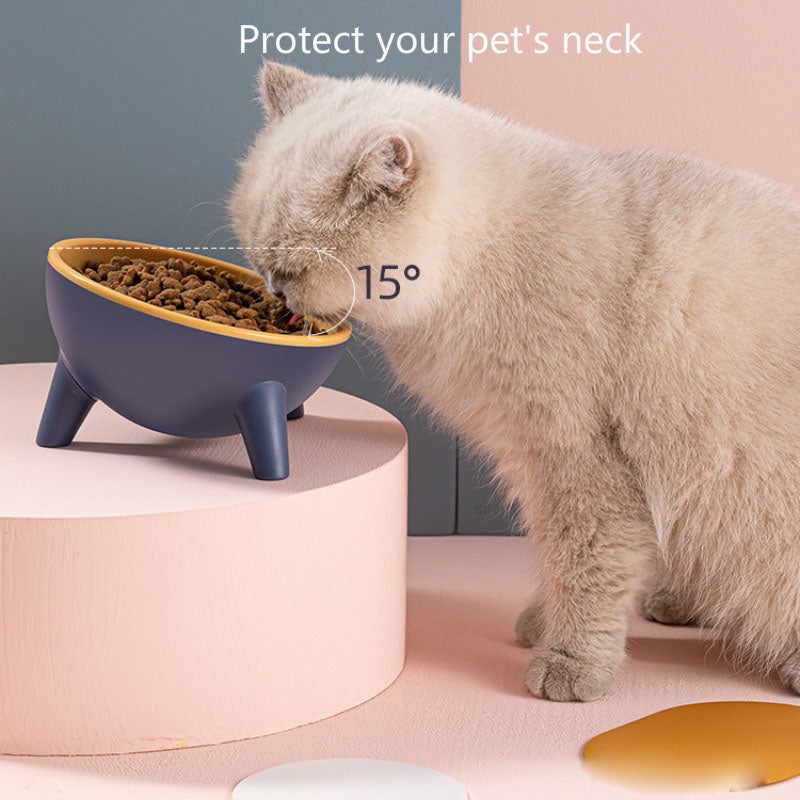 Tilted Pet Feeding Bowl with Stand