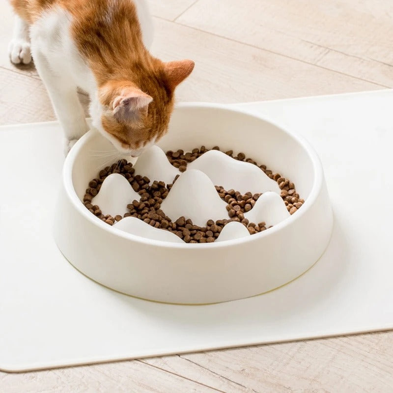 Pet Slow Feeding Bowl