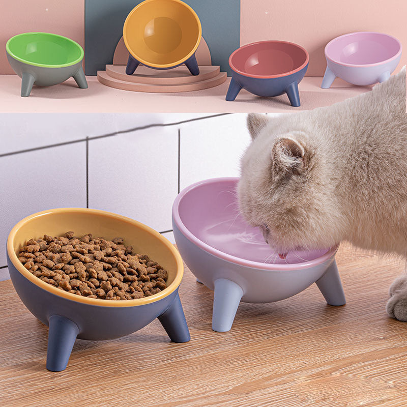Tilted Pet Feeding Bowl with Stand