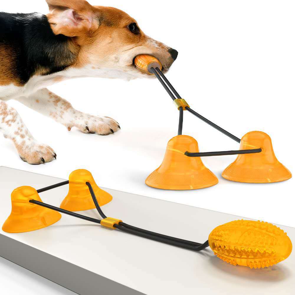 Suction Cup Interactive Pet Toy
