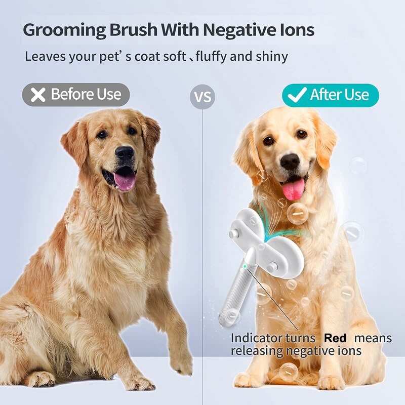 Double-Head Negative Ion Self-Cleaning Pet Brush