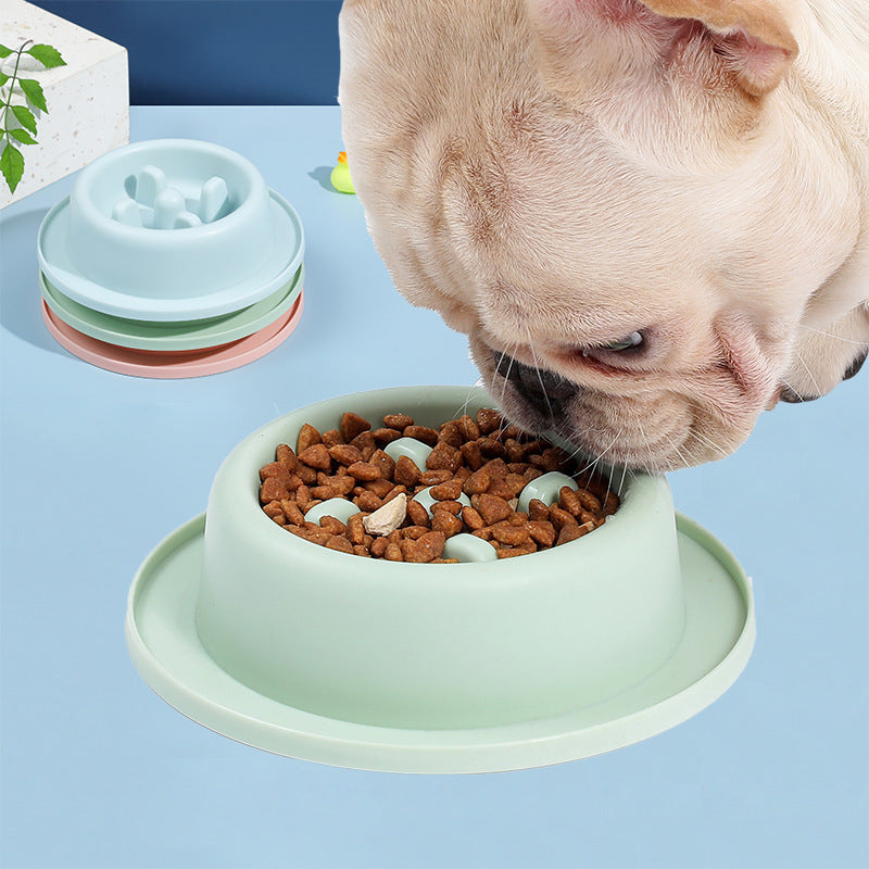 Pet Slow Feeding Bowl – Anti-Choking Design